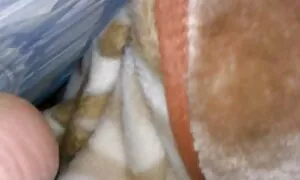 Công việc. Tôi đã đi gặp trợ lý cửa hàng và bắt đầu làm phiền phim sex nhật bản khong che cô ấy. Tất cả khách, ra ngoài và bị bỏ lại một mình.
